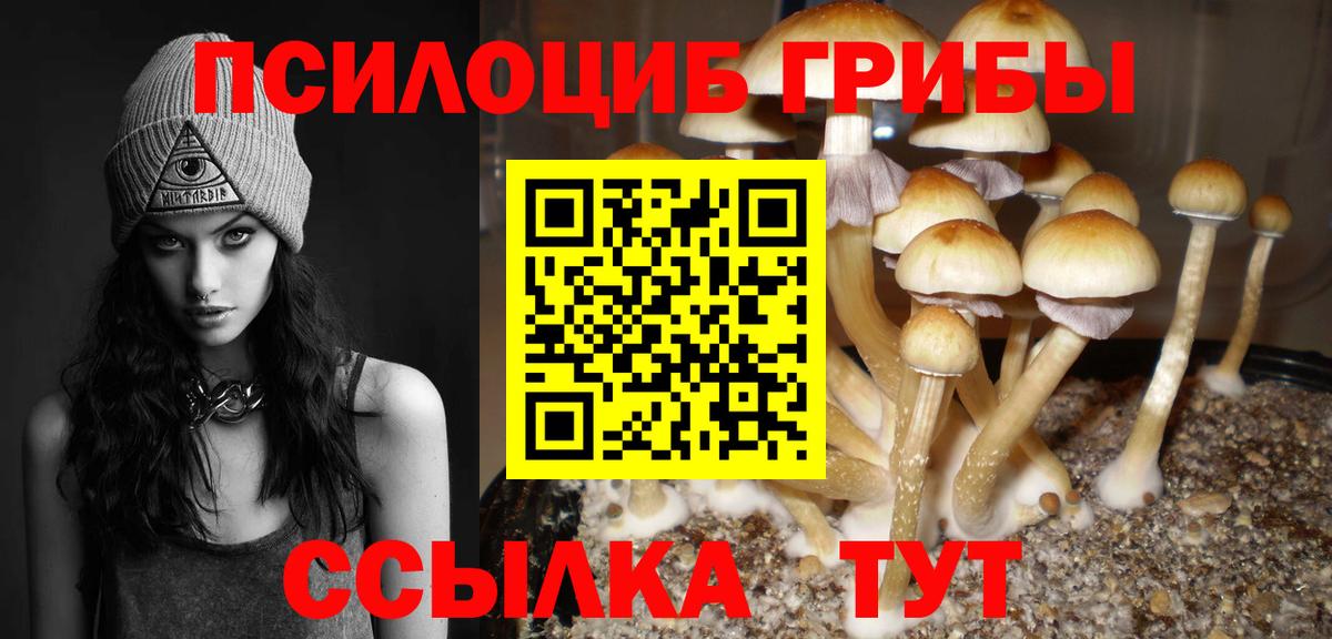 Галлюциногенные грибы Psilocybine cubensis  Вход с VPN  Шуя 