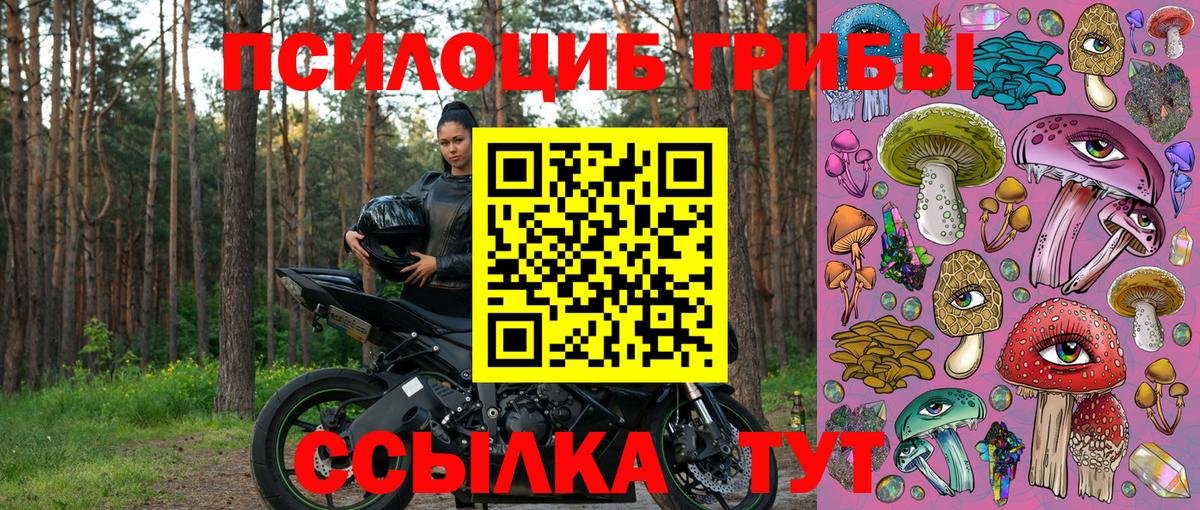 Галлюциногенные грибы Psilocybe Шуя